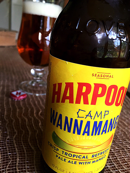 Harpoon Camp Wannamango photo