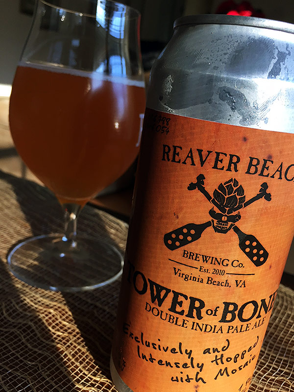 Reaver Beach Tower of Bones photo