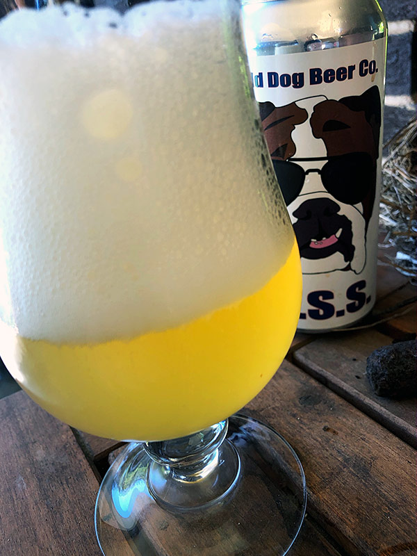 Bold Dog K.I.S.S. photo